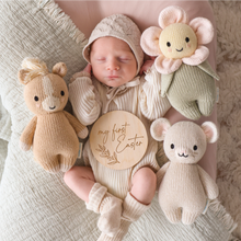Load image into Gallery viewer, Baby Pony