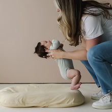 Load image into Gallery viewer, Infant Lounger Cover
