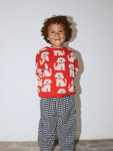 Load image into Gallery viewer, Pepper Sweater