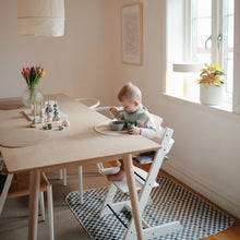 Load image into Gallery viewer, Splat Mat