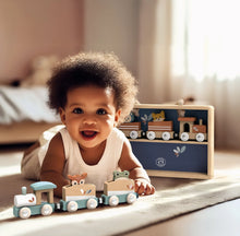 Load image into Gallery viewer, Train Set | Display Case