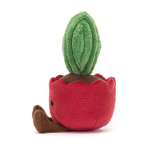 Load image into Gallery viewer, Amuseables Kerrii Cactus
