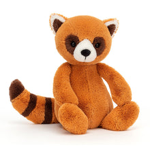 Load image into Gallery viewer, Bashful Red Panda | Medium
