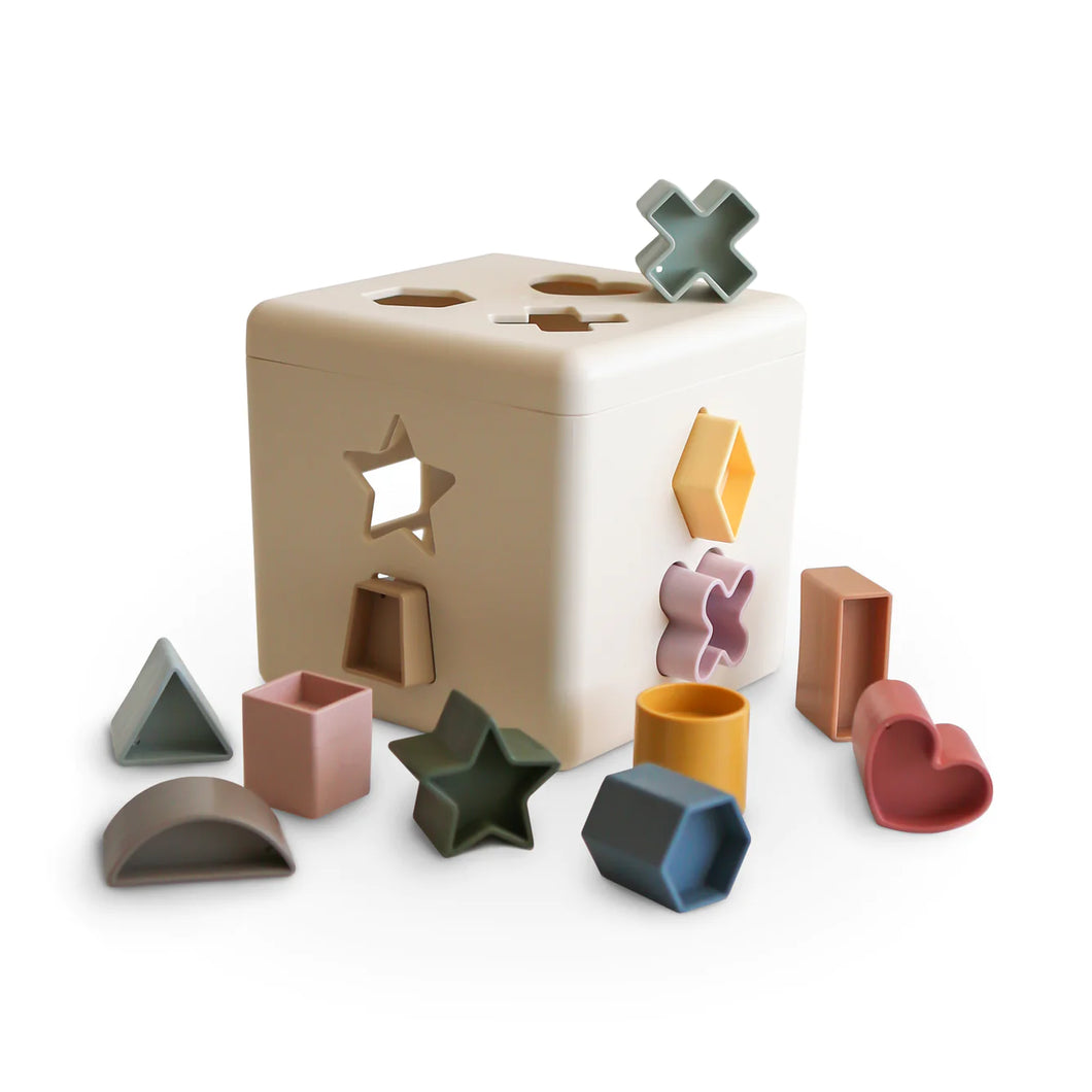 Box Map Sorting Shape Sorting Box – Janes - Family Shop