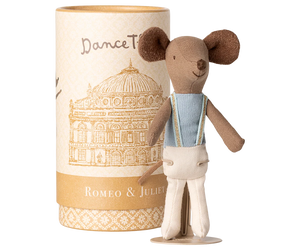 Ballet Dancer Mouse | Big Brother