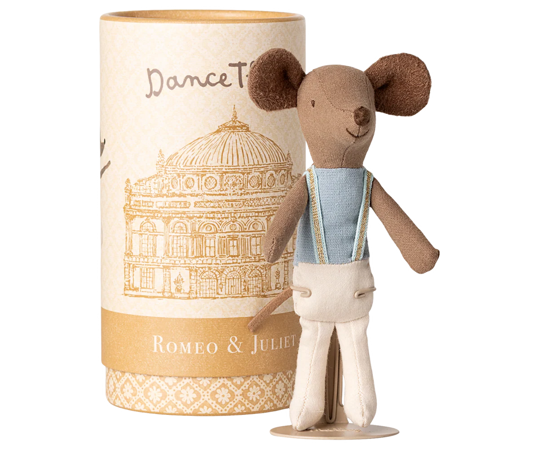 Ballet Dancer Mouse | Big Brother