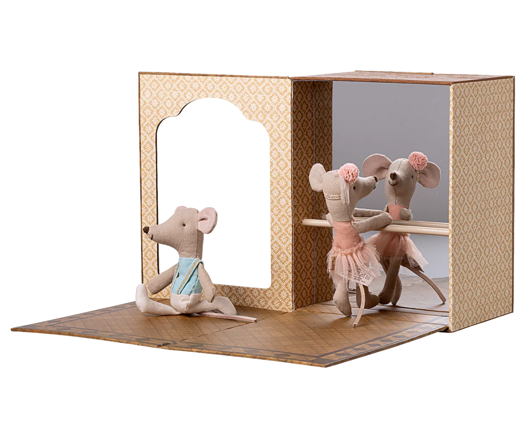 Ballet Mice in Dance Studio | Little Sister & Brother