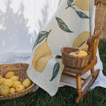 Load image into Gallery viewer, Plush Blanket | Lemon
