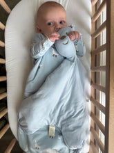 Load image into Gallery viewer, Lovey | Pup
