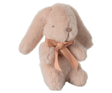 Load image into Gallery viewer, Mini Plush Bunny | Powder
