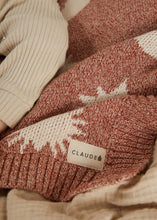 Load image into Gallery viewer, Cozmo Russet Blanket
