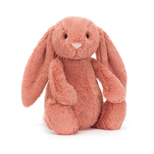 Load image into Gallery viewer, Bashful Sorrel Bunny
