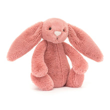 Load image into Gallery viewer, Bashful Sorrel Bunny
