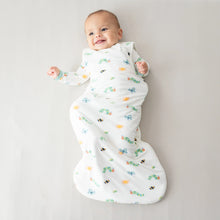 Load image into Gallery viewer, Sleep Bag | The Very Hungry Caterpillar and Friends 1.0
