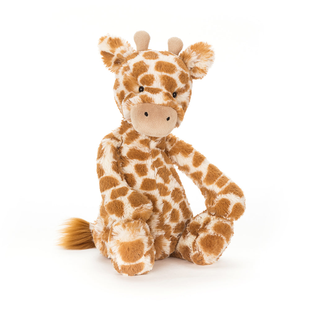 Bashful Giraffe | Medium