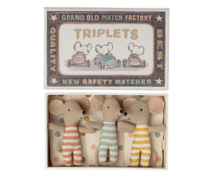 Baby Mice | Triplets in Matchbox