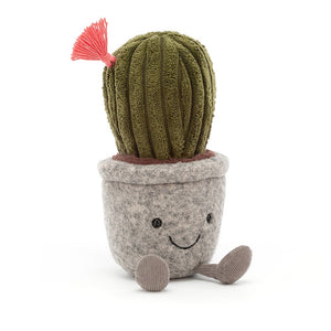 Silly Succulent | Cactus