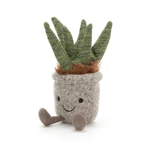 Silly Succulent | Aloe